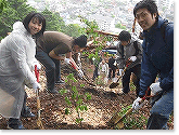 企業の森